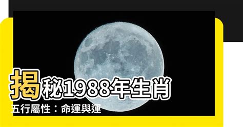 1988土龍|【1988 什麼龍】1988 年五行屬什麼龍？你的命運、姻緣等你來解。